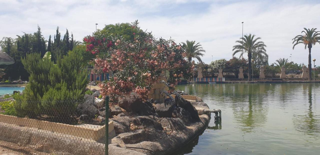 Schoene Wohnung Mit Pool , Wi-Fi Und Privat Garage Torrevieja Bagian luar foto